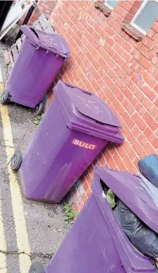  ?? ?? Alexander is trying to track down one of these wheelie bins, which have been spotted in Maidenhead.