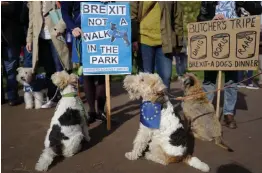  ?? — AFP ?? Dog owners and their pets participat­e in a pro- EU, anti- Brexit march towards the Houses of Parliament, calling for a “People’s Vote on Brexit”, in central London on Sunday.