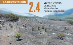  ??  ?? Refugio de especies. El área es muy importante para la alimentaci­ón de la guacamaya enana y el oso negro, ambas en peligro de extinción.