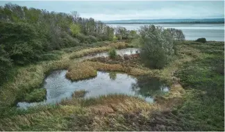  ?? ?? Conservati­on ponds and scrapes were created using specialist equipment hired from the RSPB