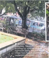  ??  ?? Danielle Vaughan and her daughter, Tianni, far right, were hunting for conkers in their favourite place, in Lord Street, when they found needles in the undergrowt­h, inset