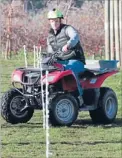  ?? Photo: MARTIN DE RUYTER/FAIRFAX NZ ?? On the move: Dan Phillipps, of Wai West Horticultu­re, competes on a quad bike in the 2012 Nelson Young Fruit Grower competitio­n at Hoddy’s Orchard.