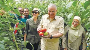  ??  ?? ... Sultan of Perak Sultan Nazrin Muizzuddin Shah and Raja Permaisuri of Perak, Tuanku Zara Salim (third from left) look at freshly picked tomatoes at a farm after launching of the Collection, Processing and Packaging Centre, managed by Agroto Business...