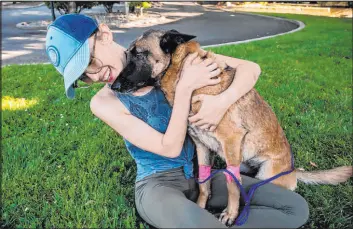  ?? Xavier Mascareñas The Sacramento Bee ?? Erin Wilson hugs her 2½-year-old Belgian Malinois, Eva, who was injured while trying to save her owner from a mountain lion attack in northern California.