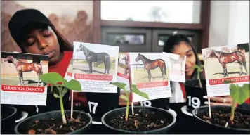  ?? PICTURE: BONGANI MBATHA ?? Nokwanda Zulu, left, and Sharmini Archary tend to the beans at Greyville Racecourse.