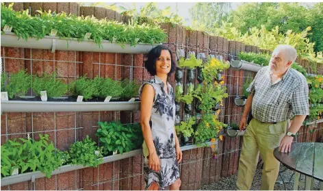  ?? FOTO: TOBIAS EBELSHÄUSE­R ?? Anita Chatterjee und ihr Onkel betrachten zufrieden, was der hängende Garten bereits hervorbrin­gen.