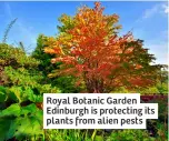  ?? ?? Royal Botanic Garden Edinburgh is protecting its plants from alien pests