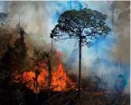  ??  ?? Wildfires in the Amazon are polluting the air with greenhouse gases faster than the surviving trees can absorb it