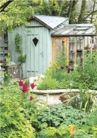  ??  ?? BELOWThere’s a lot packed into this small garden, including a shed and attached greenhouse.