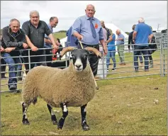  ??  ?? Sheep champion: Umpire George MacDonald with the overall sheep champion which was also the overall livestock champion. 21_ F25 road to the isles 05