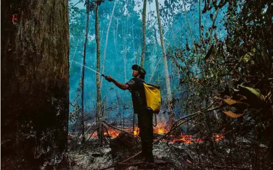  ?? João Paulo Guimarães -17.set.20/AFP ?? Brigadista dos Guardiões da Floresta tenta controlar incêndio no Alto Rio Guama, a leste de Belém (PA)