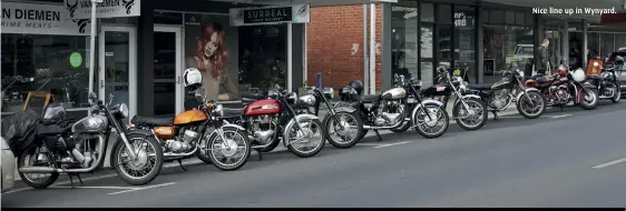  ?? ?? Nice line up in Wynyard.