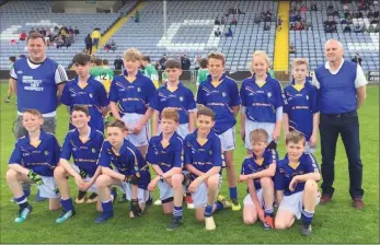  ??  ?? The Aughrim NS team who represente­d Wicklow at half-time in Portlaoise last Sunday.