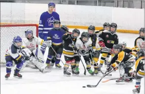  ?? CAROLE MORRIS-UNDERHILL ?? Hants County children who are learning to play hockey through the Timbits Minor Sports Program took to the ice at the Hants Exhibition Arena for a fun game recently.