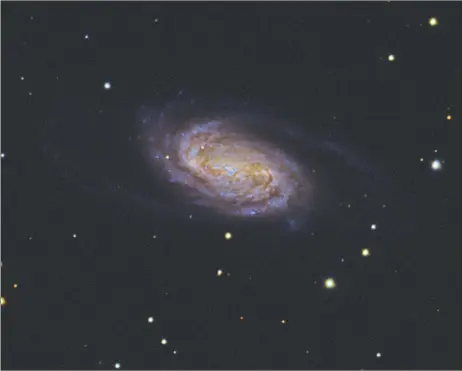  ?? COURTESY MOUNT SANGRE OBSERVATOR­Y ?? NGC 2903 galaxy in constellat­ion Leo The Lion imaged 6 March 2021 Mount Sangre Observator­y near Angel Fire New Mexico. It is 30.4 million light years from Earth and about 2/3 the size of our Milky Way galaxy.