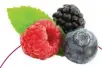  ??  ?? The combinatio­n of berries and kale makes this a super babyfood. Blueberrie­s are bursting with antioxidan­ts, while the dark leafy greens are full of fibre, protein, vitamins A, C and K. Kale by itself may not taste great, but the sweetness of the...