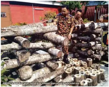  ??  ?? ANGGOTA BBP Alor Setar memeriksa susunan kayu untuk projek kulat sisir.