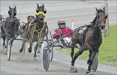  ?? Lynn Curwin/Truro DaiLy news ?? Glenview Paisley, with Ernie Laffin driving, paced in 1:57.1 to win at Truro Raceway on Sunday. The three-year-old filly is owned by Ron Harris and trained by Dave Carey.