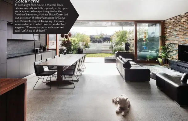  ??  ?? KITCHEN/DINING Lochie the West Highland white terrier chills out on the burnished concrete slab, while Danya and daughters Amelia above and opposite (at left) and Charlotte take a windowsill seat. The kitchen is 12m long, with black-stained American oak joinery, black granite benchtops and an island in grey ironbark. Canisters and chopping board, Kmart. Morgan &amp; Finch planter, Bed Bath N’ Table. Porky Hefer Design ‘Found Objects’ pendant lights, Animal Farm. STAIRWELL The staircase design incorporat­es the home’s signature powder-coated perforated-aluminium screens, along with grey ironbark and concrete.