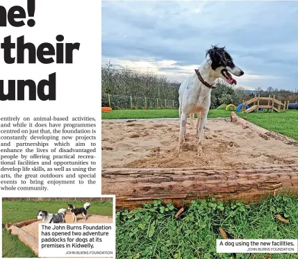  ?? JOHN BURNS FOUNDATION JOHN BURNS FOUNDATION ?? The John Burns Foundation has opened two adventure paddocks for dogs at its premises in Kidwelly.
A dog using the new facilities.