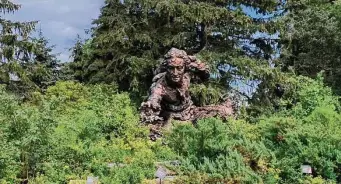  ?? Julia Rubin/Associated Press ?? A sculpture of Swedish botanist Carl Linnaeus stands in the Heritage Garden of the Chicago Botanic Garden, in Glencoe, Ill. Linnaeus created rules for classifyin­g and naming plants.