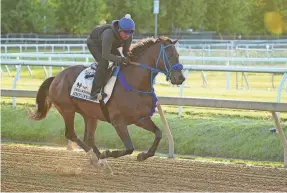  ?? MITCH STRINGER/USA TODAY SPORTS ?? Simplifica­tion, 6-1 on the morning line, worked out on Wednesday at Pimlico Race Course preparing for Saturday’s Preakness.