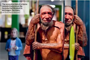  ?? (AP Photo/Martin Meissner) ?? The reconstruc­tion of a Homo neandertha­lensis at the Neandertha­l Museum in Mettmann, Germany.