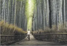  ??  ?? Den Bambuswald von Arashiyama hat Marco auf dem Velo erkundet.