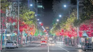  ??  ?? Red and green halogen lights will highlight street trees at Christmas to boost festive shopping.