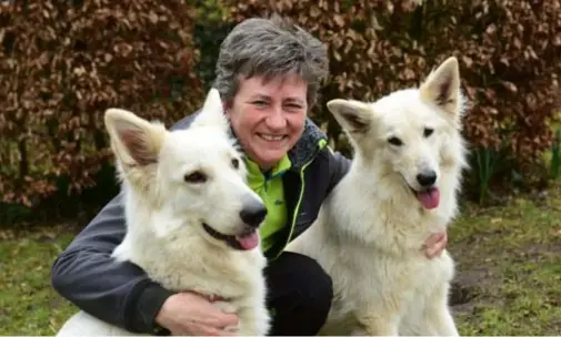  ?? FOTO KRISTIN MATTHYSEN ?? Carine met haar witte herders Kozy en Mayté. “Ik zorg er altijd voor dat ze proper gewassen en geborsteld zijn als ik naar het woonzorgce­ntrum vertrek.”