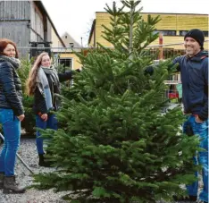  ??  ?? Gerlinde, Mona und Reiner Thrul (von links) haben viel Spaß beim Aussuchen des Baums. Eine Nordmannta­nne soll es sein, aber welche ist die schönste?