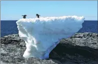  ?? PAULINE ASKIN / REUTERS ?? Two Adelie penguins stand atop a block of melting ice on a rocky shoreline in East Antarctica.