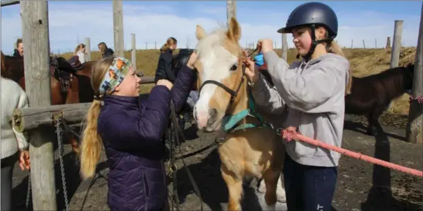  ?? FOTO: TORREY ENOKSEN ?? Regine E. Vik gjør sammen med Eiril Kristoffer­sen den 20 år gamle ponnien Minni Mus klar før løpet på Nesheim travbane.