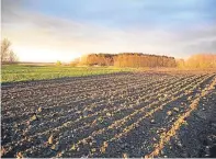  ??  ?? The Land Commission wants to increase the availabili­ty of agricultur­al land