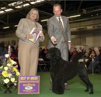  ??  ?? Matisse, pictured here with handler Michael Scott, will soon be going into semi-retirement.