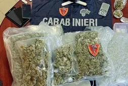  ??  ?? L’operazione Una fitta rete di spaccio è stata scoperta dai carabinier­i, a Sacile: al centro degli «affari» un operaio di 25 anni, arrestato. Il «fumo» è stato scoperto grazie ai cani antidroga