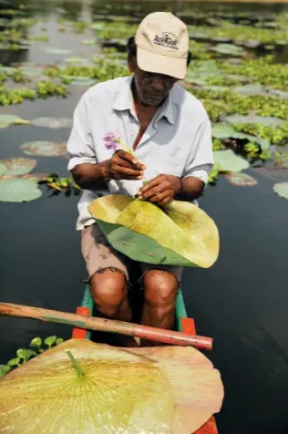  ??  ?? DE GAUCHE À DROITE Ma cabane à Habarana : une plateforme sert de poste d’observatio­n dans une plantation de noix de coco ; une balade en canot à Habarana avec Preme.