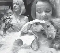  ?? AP/TINA FINEBER, File ?? (foreground left) and her cousin Clifford (foreground right) are held by their owner Valerie Diker, as they prepare for a wedding for pets in New York.