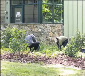  ?? PETE BANNAN - MEDIANEWS GROUP ?? GreenWeave­r Landscapes crews work at Hildacy Preserve.