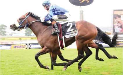 ??  ?? TEST RUN. Janoobi will be tried over 1200m in the R1-million Tsogo Sun Sprint at Scottsvill­e on Saturday before heading off to race in Dubai at the end of the season.