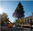  ?? JULIEN GIGNAC PHOTOS/TORONTO STAR ?? The tree was installed as part of the museum’s annual 12 Trees Exhibition.