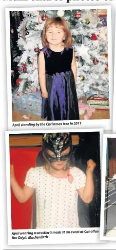  ??  ?? April standing by the Christmas tree in 2011 fan April wearing a wrestler’s mask at an event at Canolfan Bro Ddyfi, Machynllet­h
