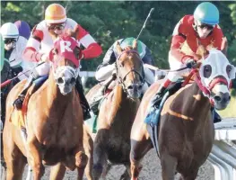  ??  ?? Belmont Park (1:30 pm) 1) 1-2-3-7 2) 2-1-4-5 3) 2-5-3-4 4) 7-6-4-1 5) 1-7-6-5 6) 11-7-1-5 7) 1-4-8-5 8) 2-5-6-4
9) 8-12-5-6 Santa Anita Park (3:30 pm) 1) 5-6-3-7 2) 3-6-1-2 3) 9-6-5-3 4) 8-7-6-4 5) 8-9-10-3 6) 7-6-5-2 7) 2-1-8-7
8) 11-10-9-8