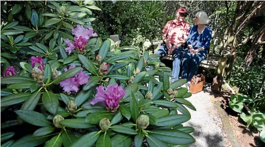  ?? PHOTOS: GLENN JEFFREY/ STUFF ?? Kerry and Cheryl Munro, from Auckland, enjoy a rest in Alan Morris’s garden, Pukemara, during the Taranaki Garden Festival.