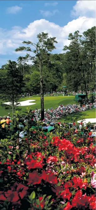  ??  ?? Grand stage: the famous course is in magnificen­t shape for the tournament