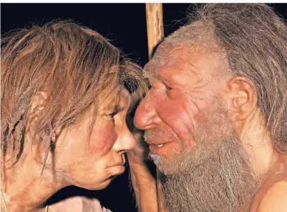  ?? ARCHIVFOTO: NEANDERTHA­L MUSEUM  ?? Mit wem hat der Neandertal­er geschmust? Die Experten stehen hier scheinbar noch ganz am Anfang der Forschung.