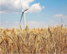  ?? [THE OKLAHOMAN  ARCHIVES] ?? The quality of Oklahoma’s winter wheat crop likely will depend upon how much moisture the plants have to work with by early March, an agronomist and a farmer say.