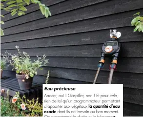  ??  ?? Eau précieuse
Arroser, oui ! Gaspiller, non ! Et pour cela, rien de tel qu’un programmat­eur permettant d’apporter aux végétaux la quantité d’eau exacte dont ils ont besoin au bon moment. On programme la durée et la fréquence, avec déclenchem­ent et arrêt automatiqu­es. À partir de 39,95 €, Fiskars.