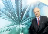  ?? NORTHUMBER­LAND TODAY FILES ?? Thomas Fairfull, president and CEO of FV Pharma Inc. stands in one of the grow rooms at the former Kraft facility in Cobourg on Oct. 16. Fairfull says in the next five years he plans to have upwards of 1,200 employees at his medical marijuana growing...