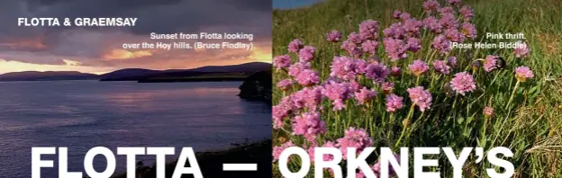  ?? Sunset from Flotta looking over the Hoy hills. (Bruce Findlay) ?? Pink thrift. (Rose Helen Biddle)